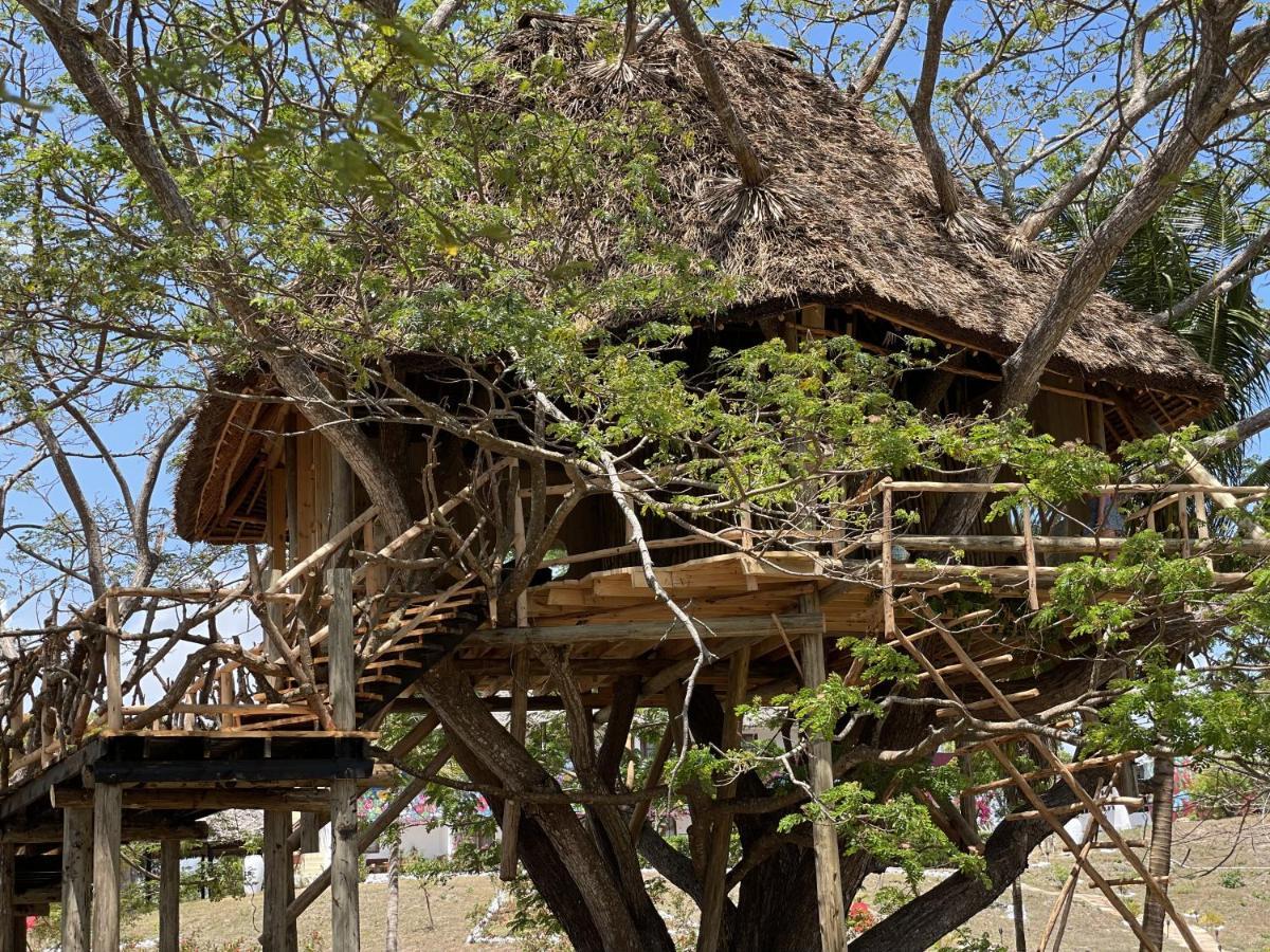 Antonio Beach Tree House Hotel & Spa Uroa Exterior photo