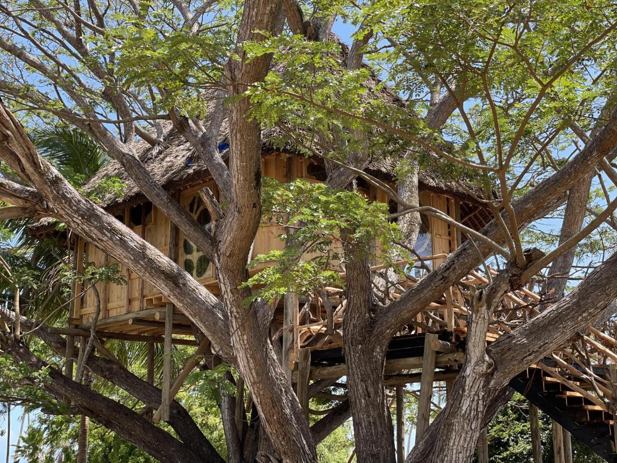 Antonio Beach Tree House Hotel & Spa Uroa Exterior photo