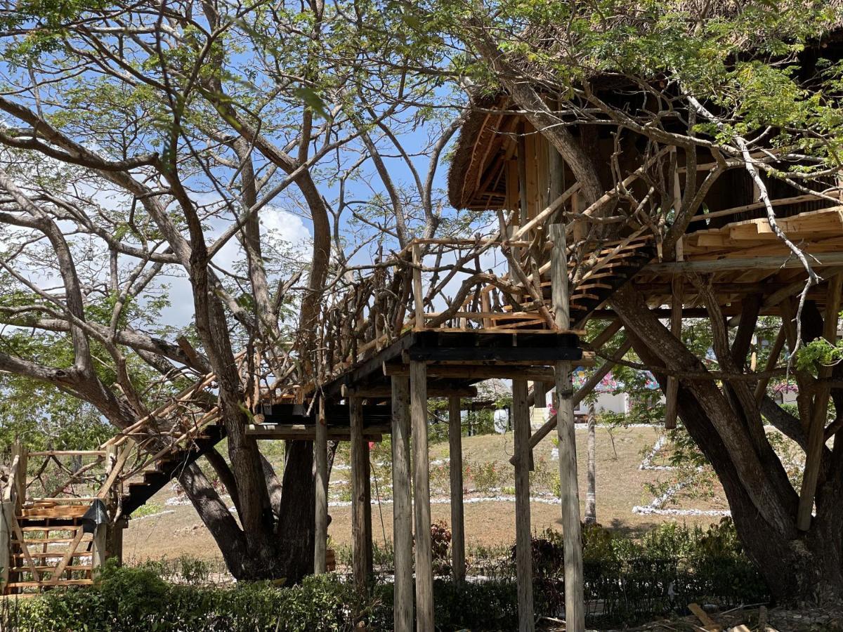 Antonio Beach Tree House Hotel & Spa Uroa Exterior photo